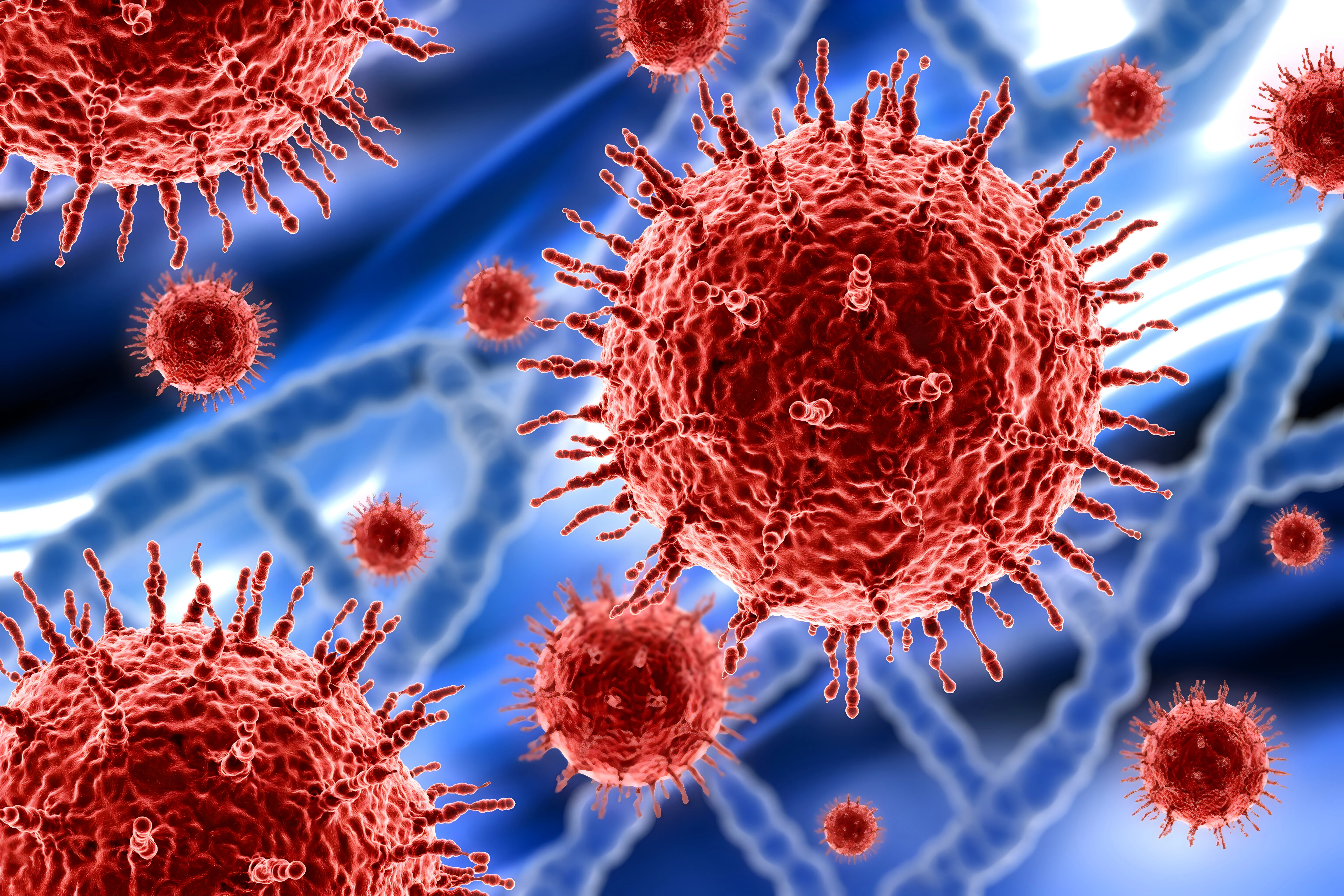 image d'un virus agrandit de couleur rouge sur fond bleu