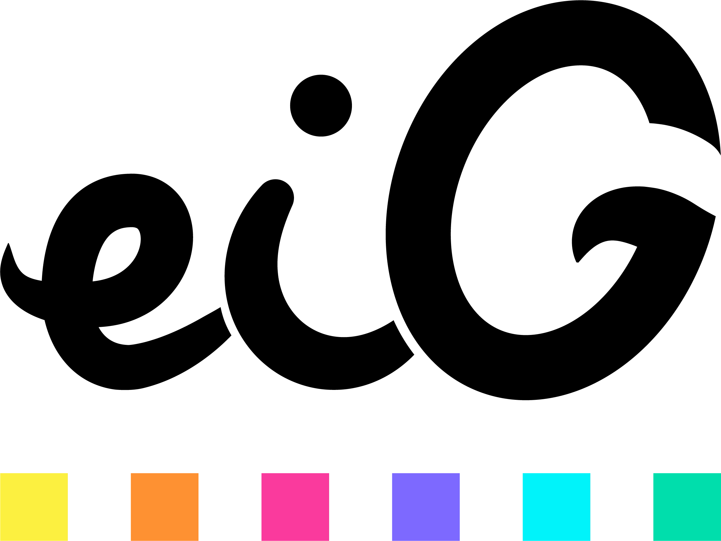 logo société eig